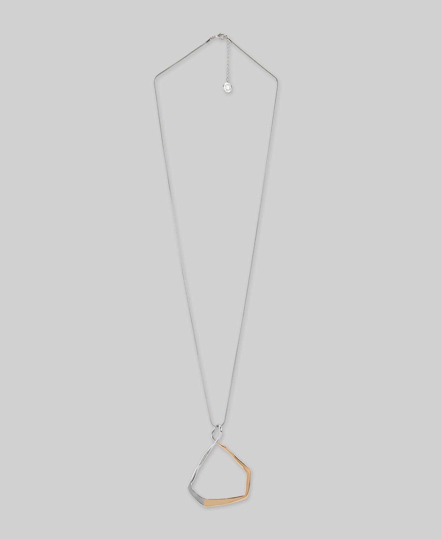 Necklace With Pendant - Gold/Silver